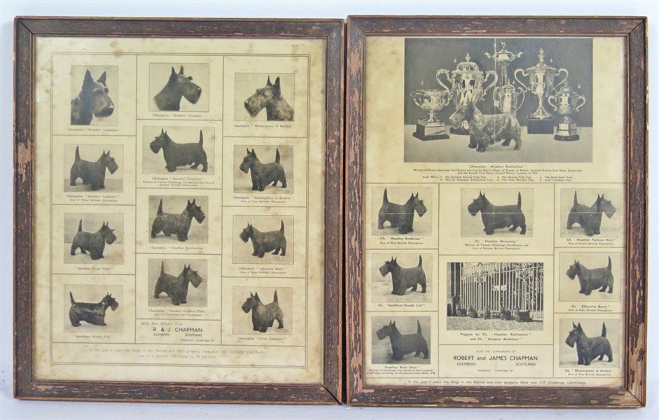 Two Scottish Kennel Club Prints