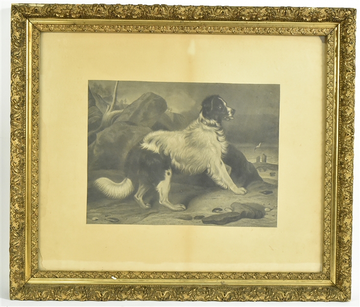 Print of a Sporting Dog