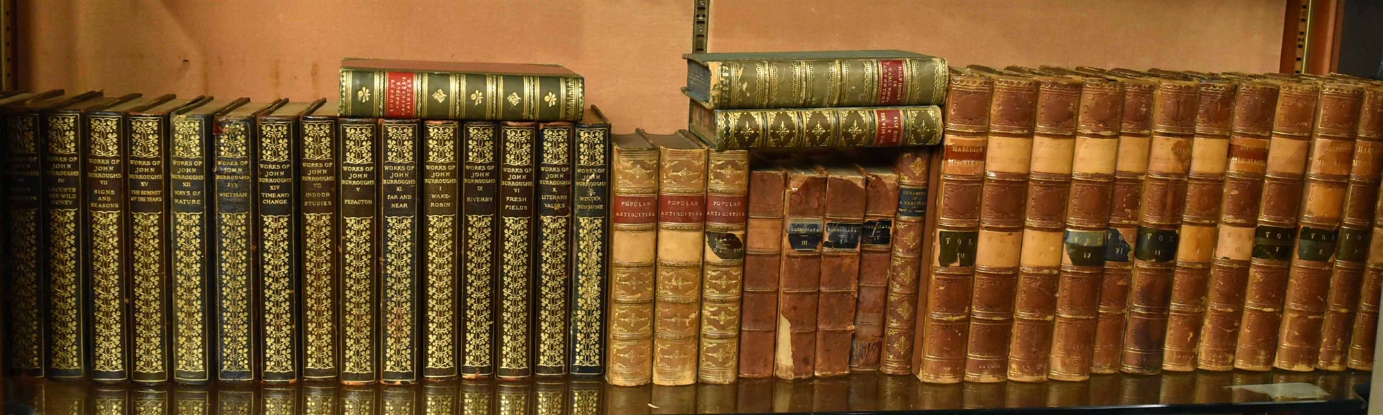 Group of Books Related to Science and Nature