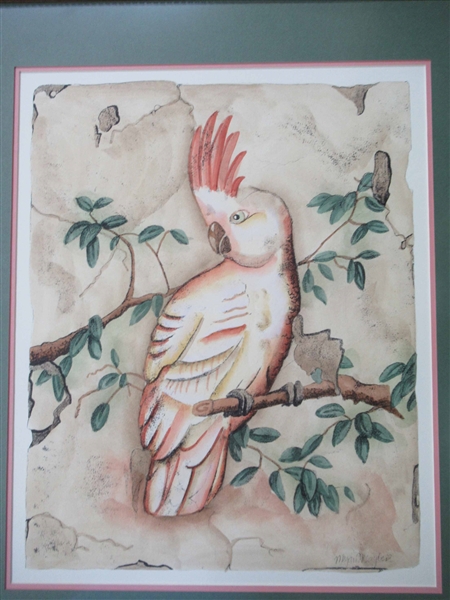 Set of 2 Print on Paper of Parrot
