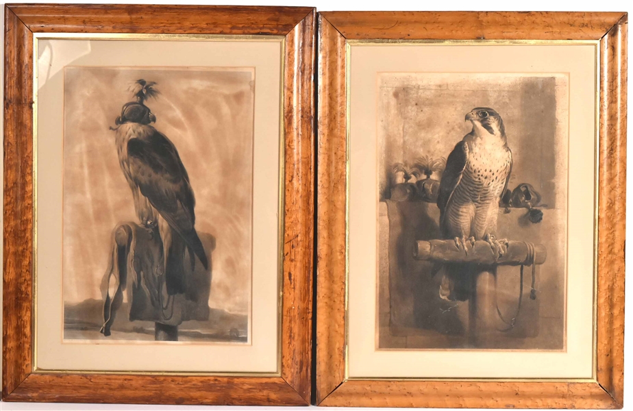 Pair of Engravings, Eagle and Falcon