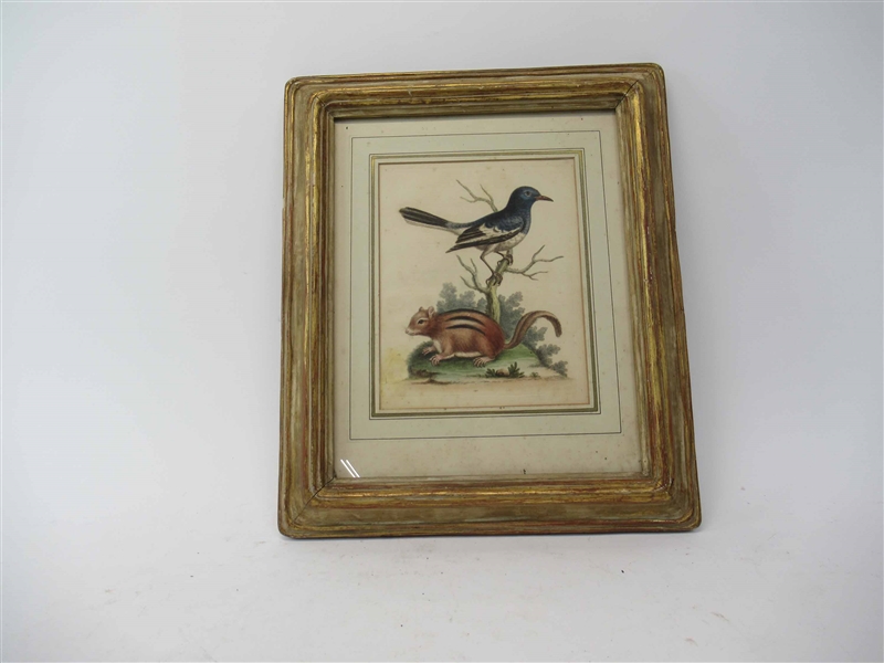Colored Print of Bird on Branch and Chipmunk