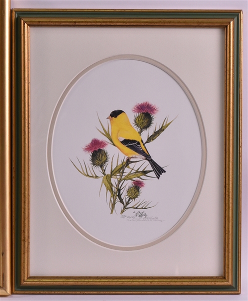 Two Prints of Birds and Thistle, Carol L McEldery
