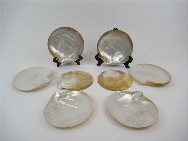 Set of Eight Mother of Pearl Caviar Dishes