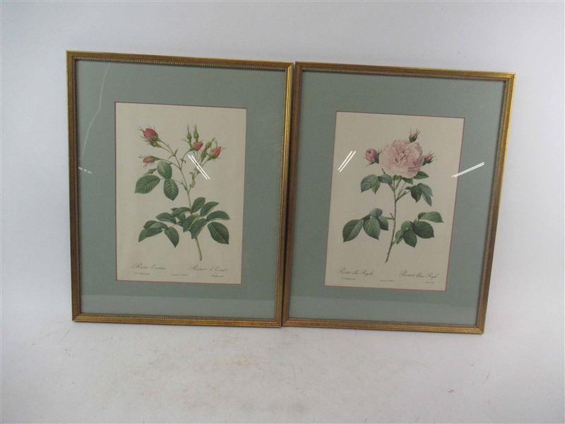 Two Vintage Framed Rose Prints