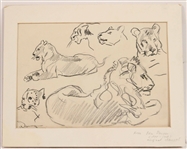 Charcoal Sketches of Lions, Kees Van Dongen