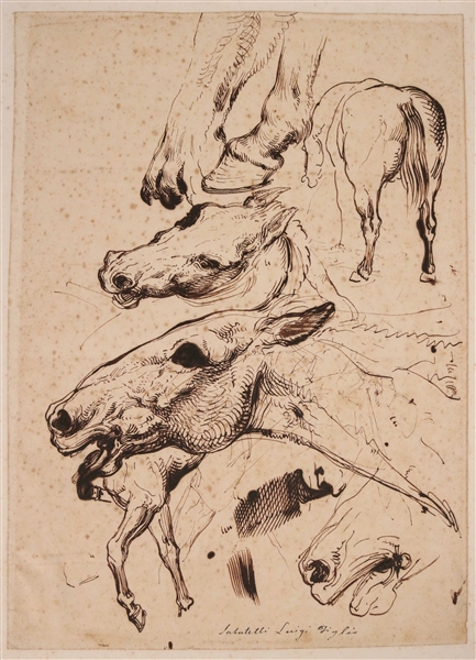 Luigi Sabatelli II, Ink and Paper, Equine Study