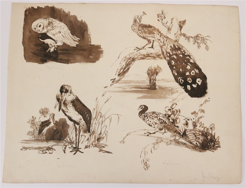 Ink on Paper, Studies of Birds, Newton Fielding