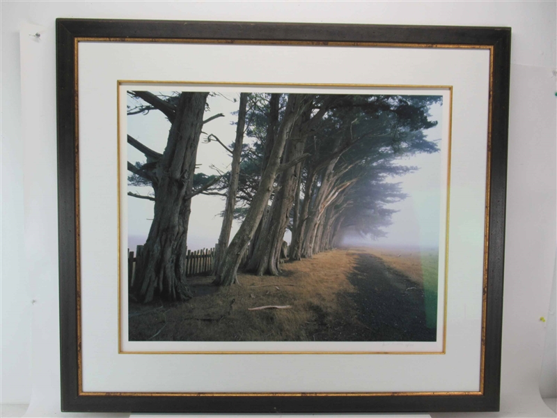 David Brookover Large Scale Photograph