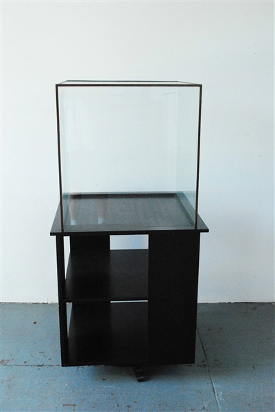Glass Cube Display Case