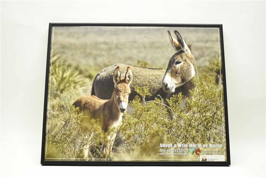 Adopt a Wild Horse or Burro Poster