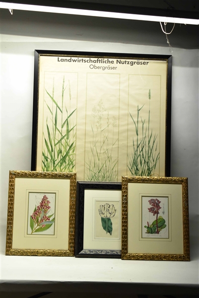 Group of Four Assorted Botanical Art Works 
