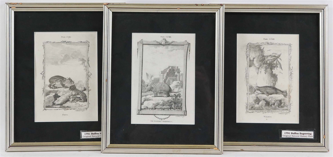 Three Buffon Engravings, After A. Bell