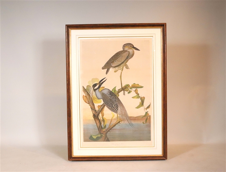 After John James Audubon, Yellow Crowned Heron