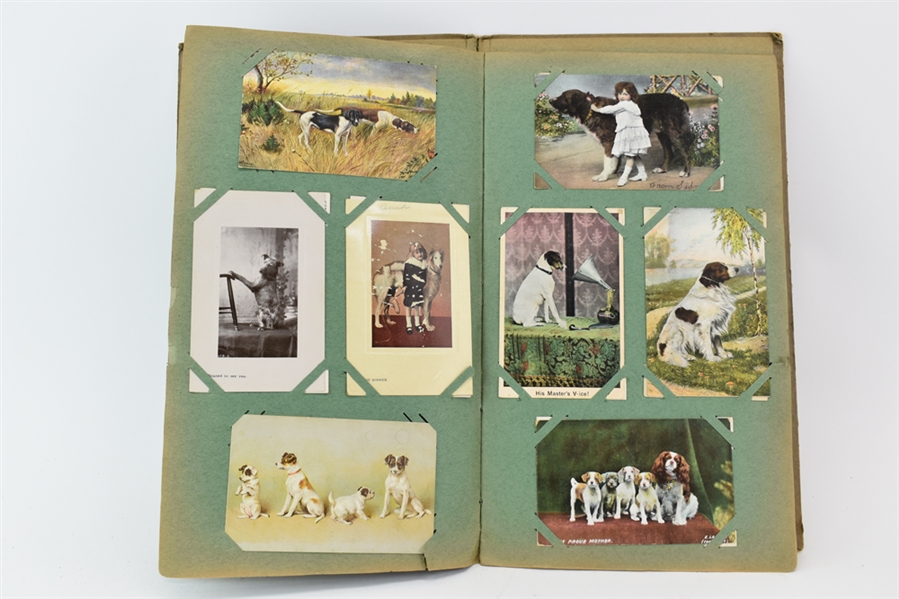 80+ Cats & Dogs Antique Postcards