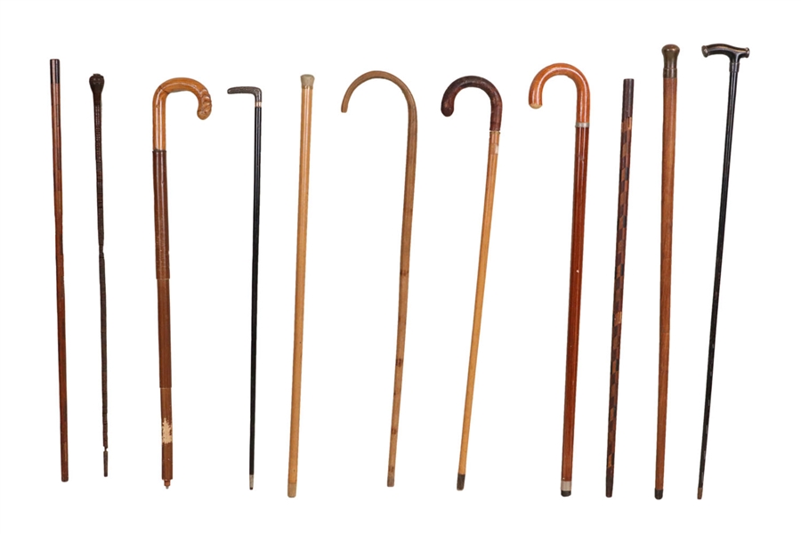 Eleven Canes and Walking Sticks