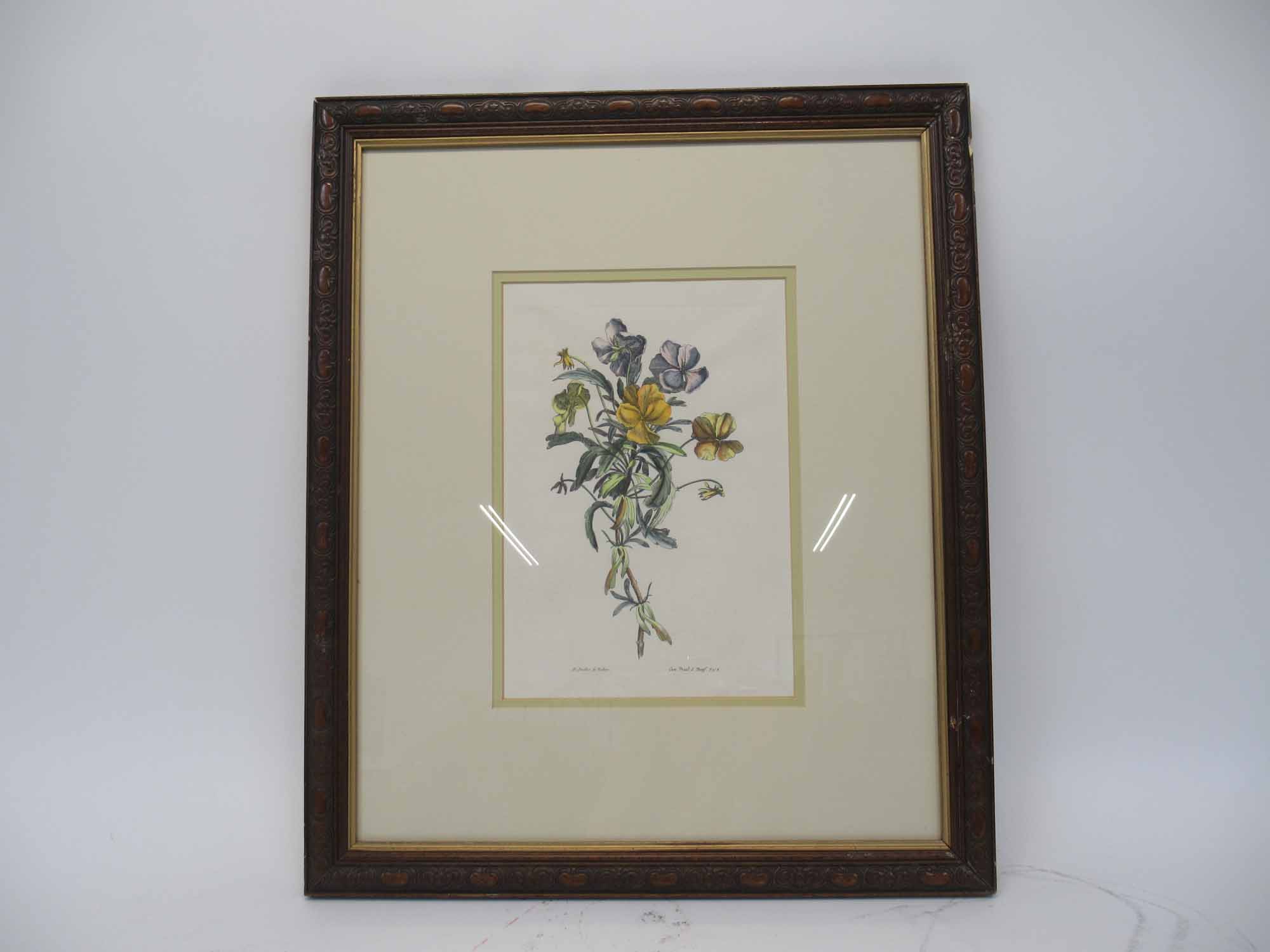 Lot Detail - Hand Colored Botanical Lithograph