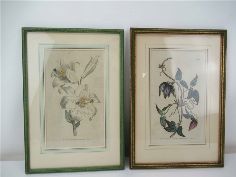 Two Antique Curtis Hand-Colored Botanical Prints