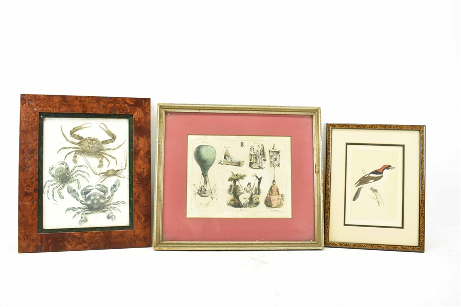 Three Assorted Lithographs