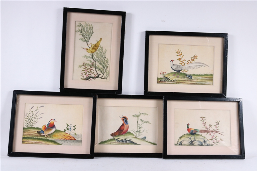Five Chinese School Watercolors of Birds