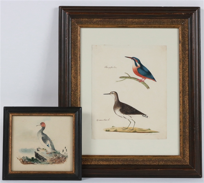 Two Watercolors on Paper, Studies of Birds