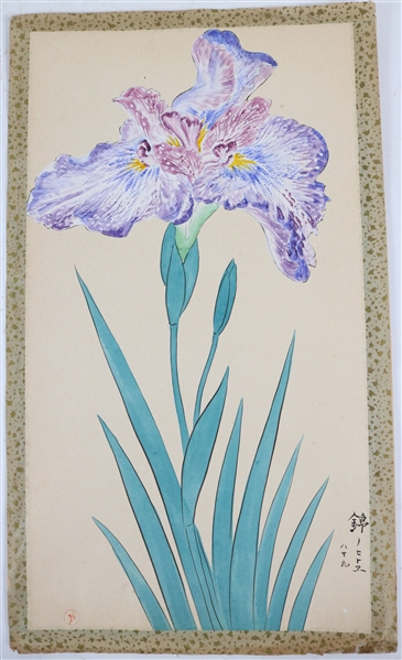 Gouache on Rice Paper, Portrait of an Iris