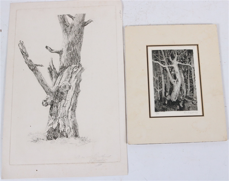 Two Engravings of Trees