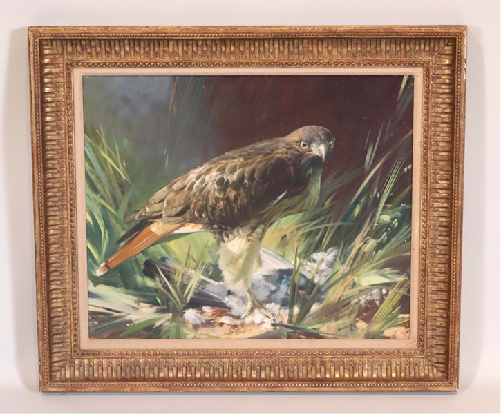 Frank Wootton, Red Tailed Hawk