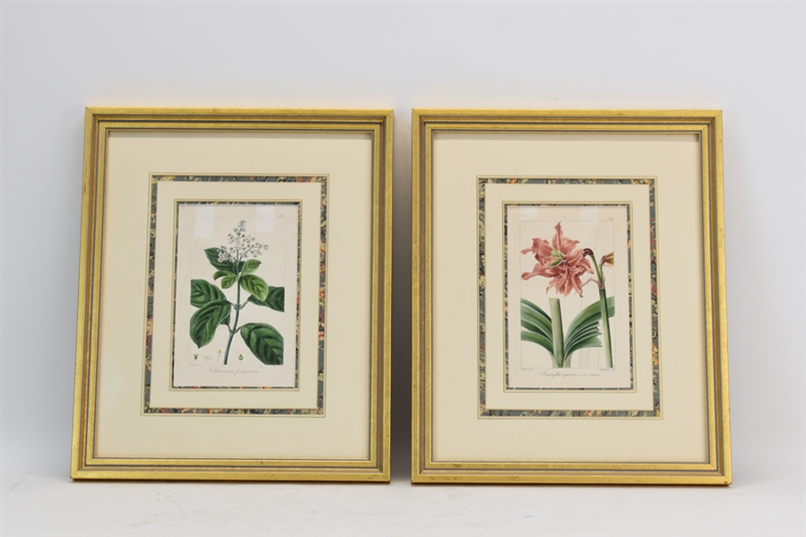 Two Antique Pancrace Bessa Flower Engravings 