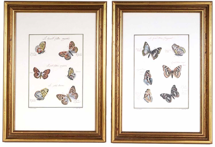 Two Antiquarian-Style Prints of Butterflies