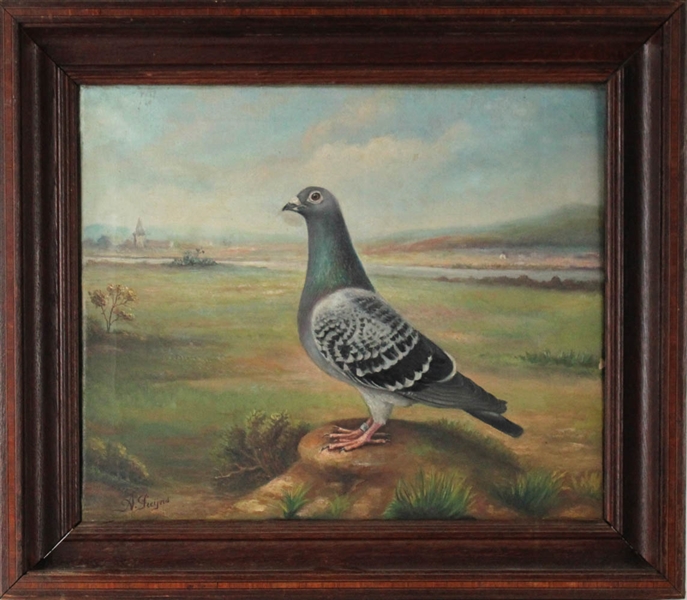 Oil on Canvas, Racing Pigeon