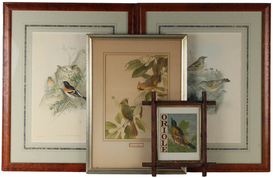 Two Bird Prints After Gould