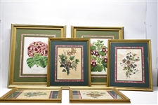 Group Matted and Framed Antique Botanical Prints
